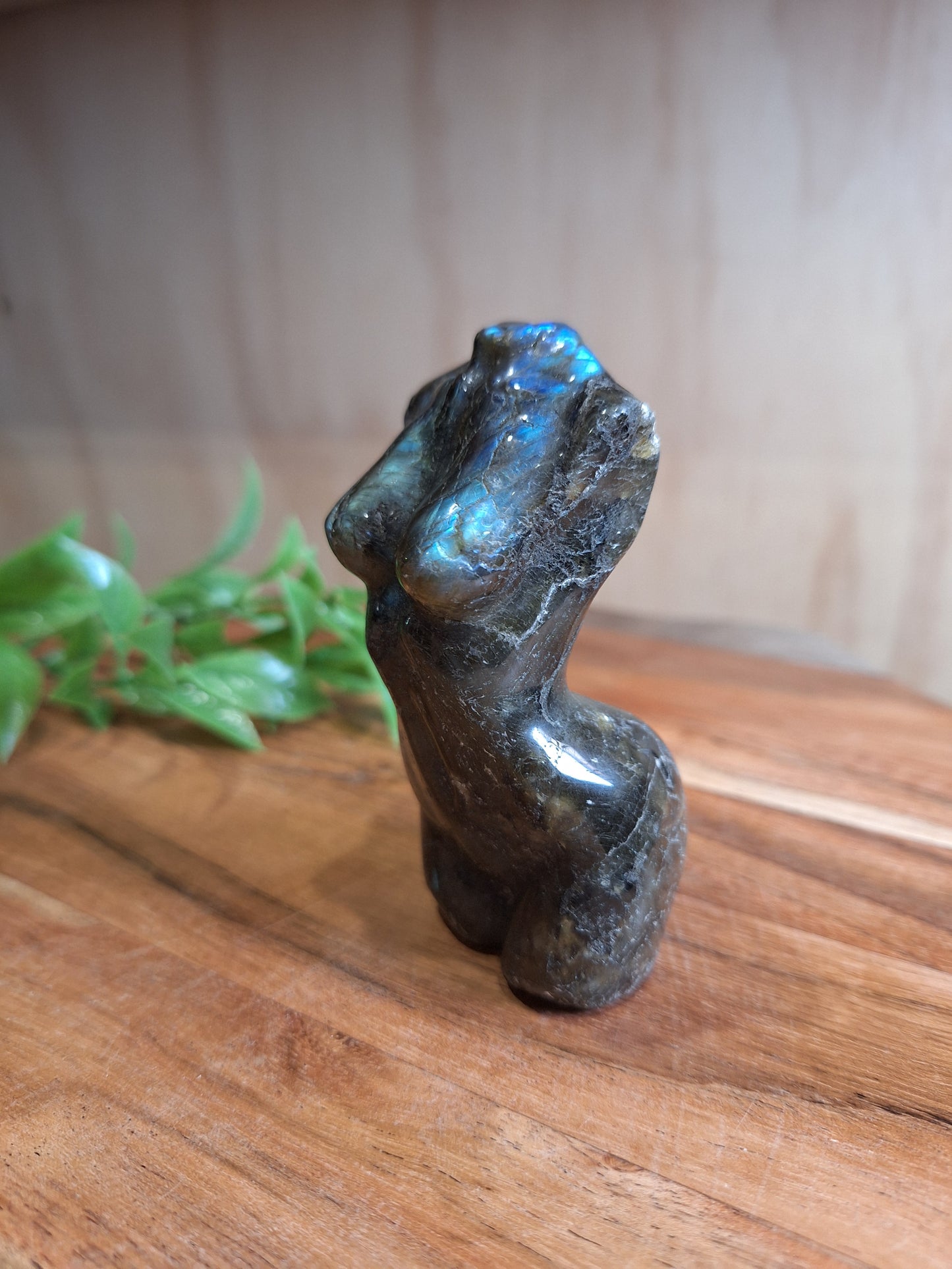 LABRADORITE LADY BODIES