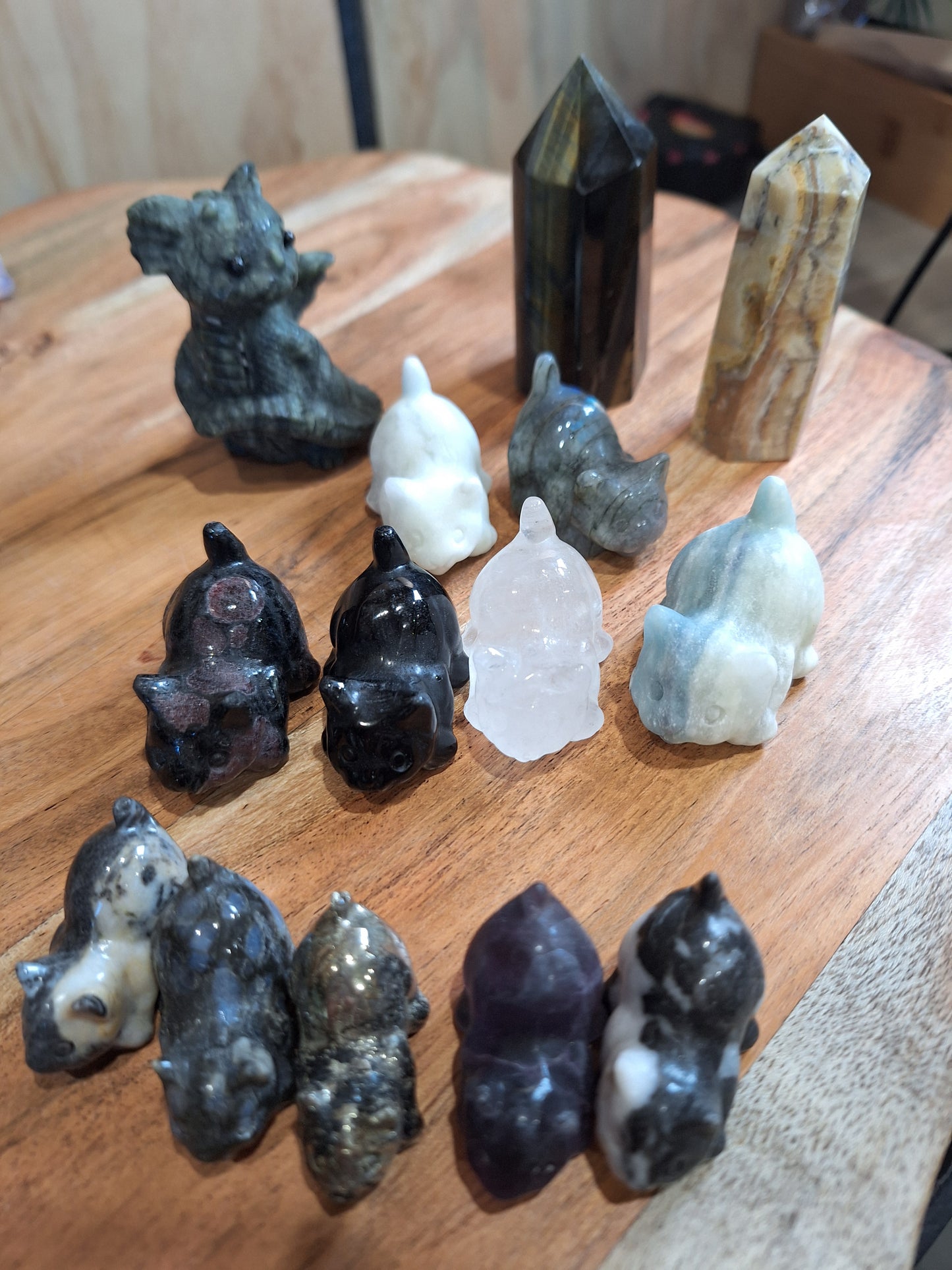 CHRISSYS POINTS & CATS