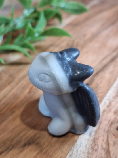 PICASSO JASPER TOOTHLESS