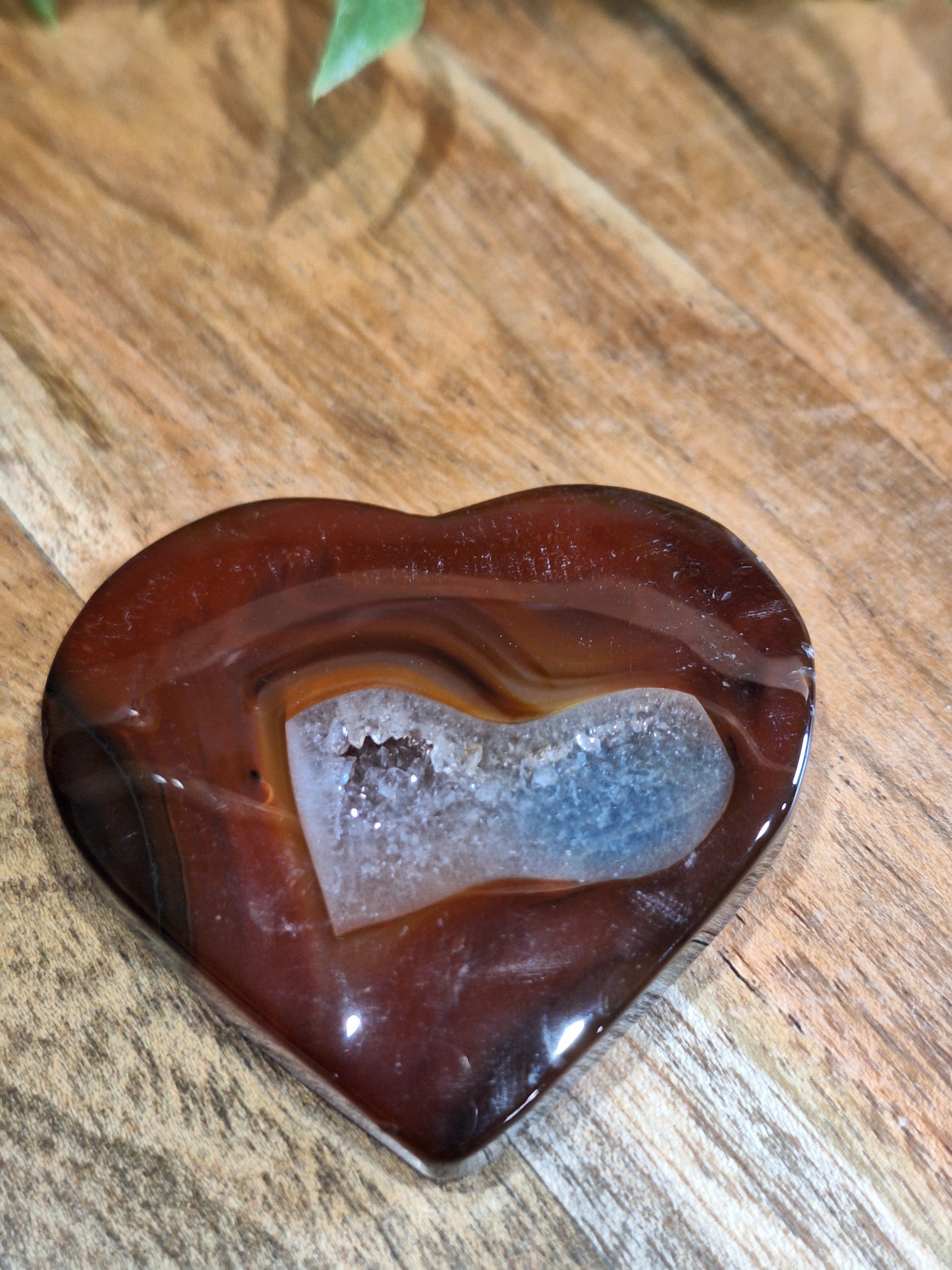 CARNELIAN HEARTS