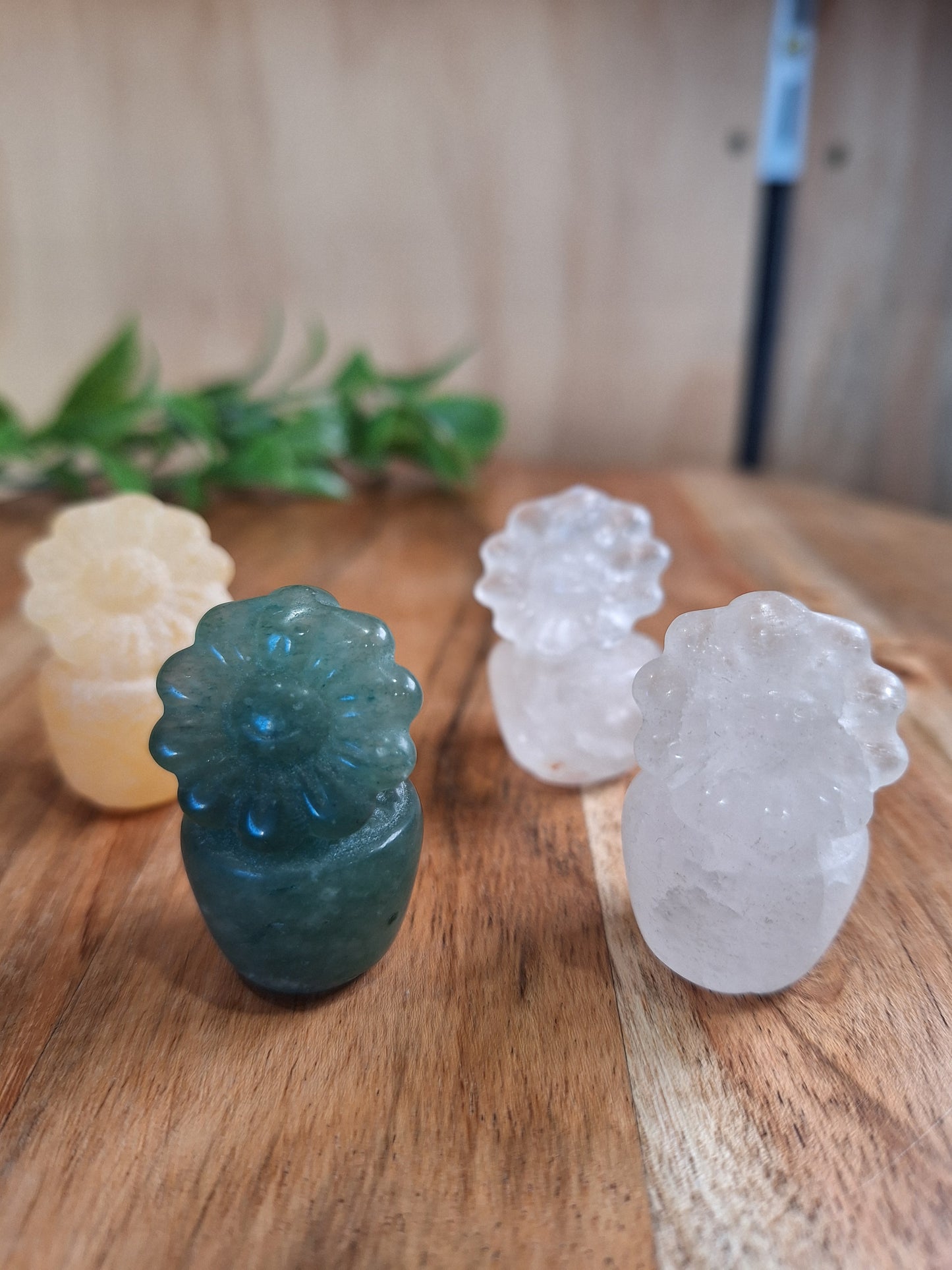 CRYSTAL FLOWER POTS
