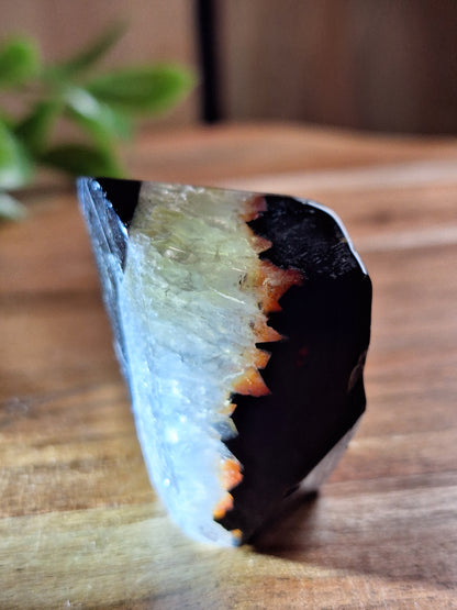 BLACK AGATE RAWS (ALL DIFFERENT SIZES)
