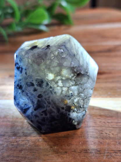 BLACK AGATE RAWS (ALL DIFFERENT SIZES)