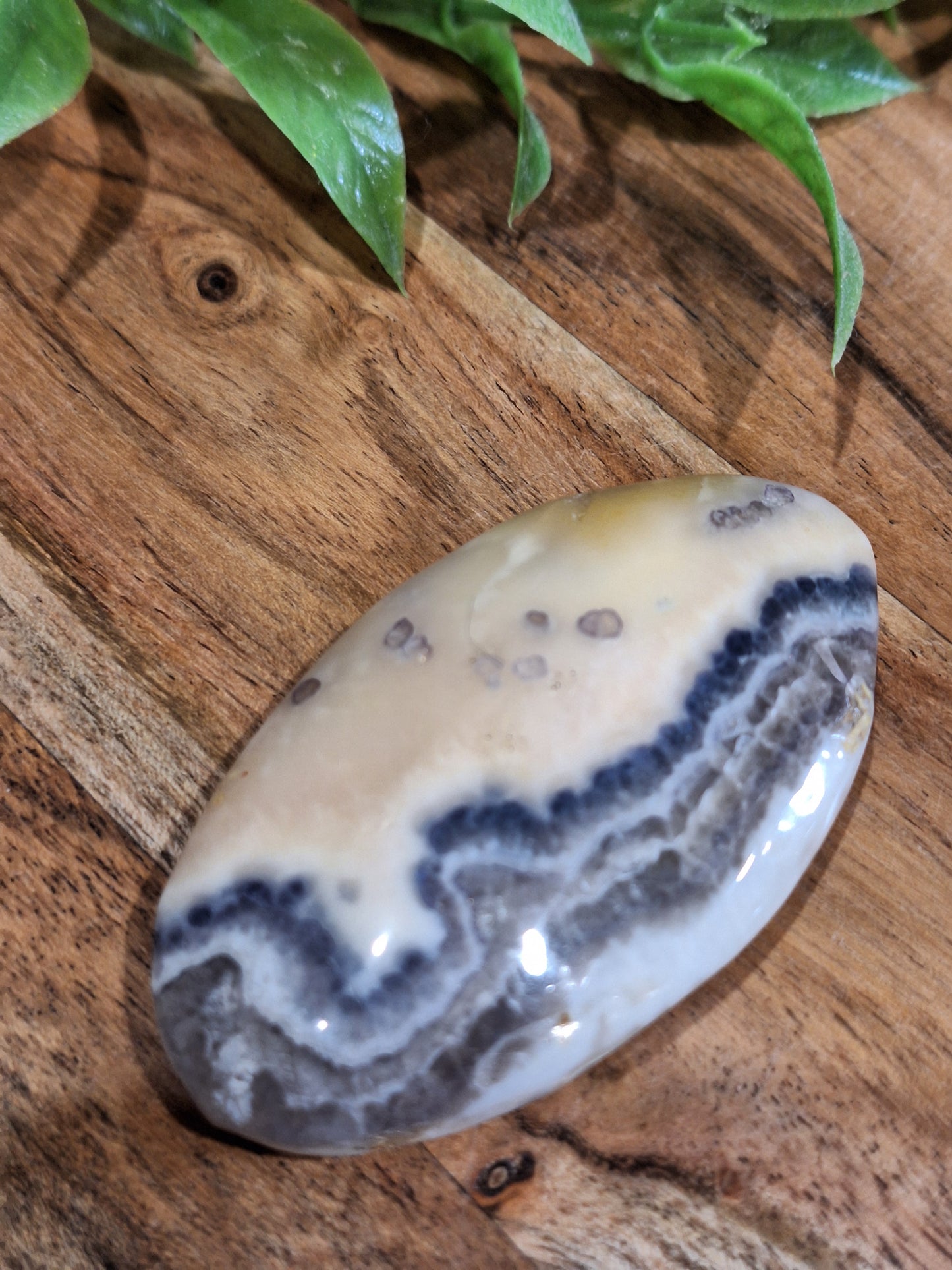 PALM STONES (SMALL)