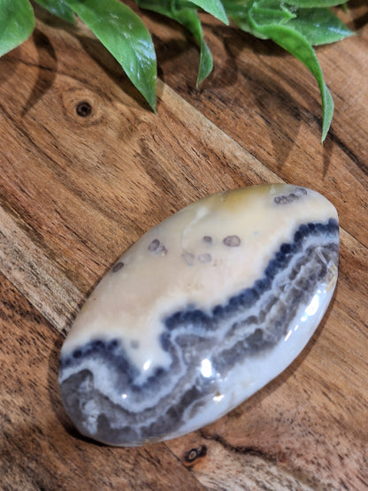 PALM STONES (SMALL)