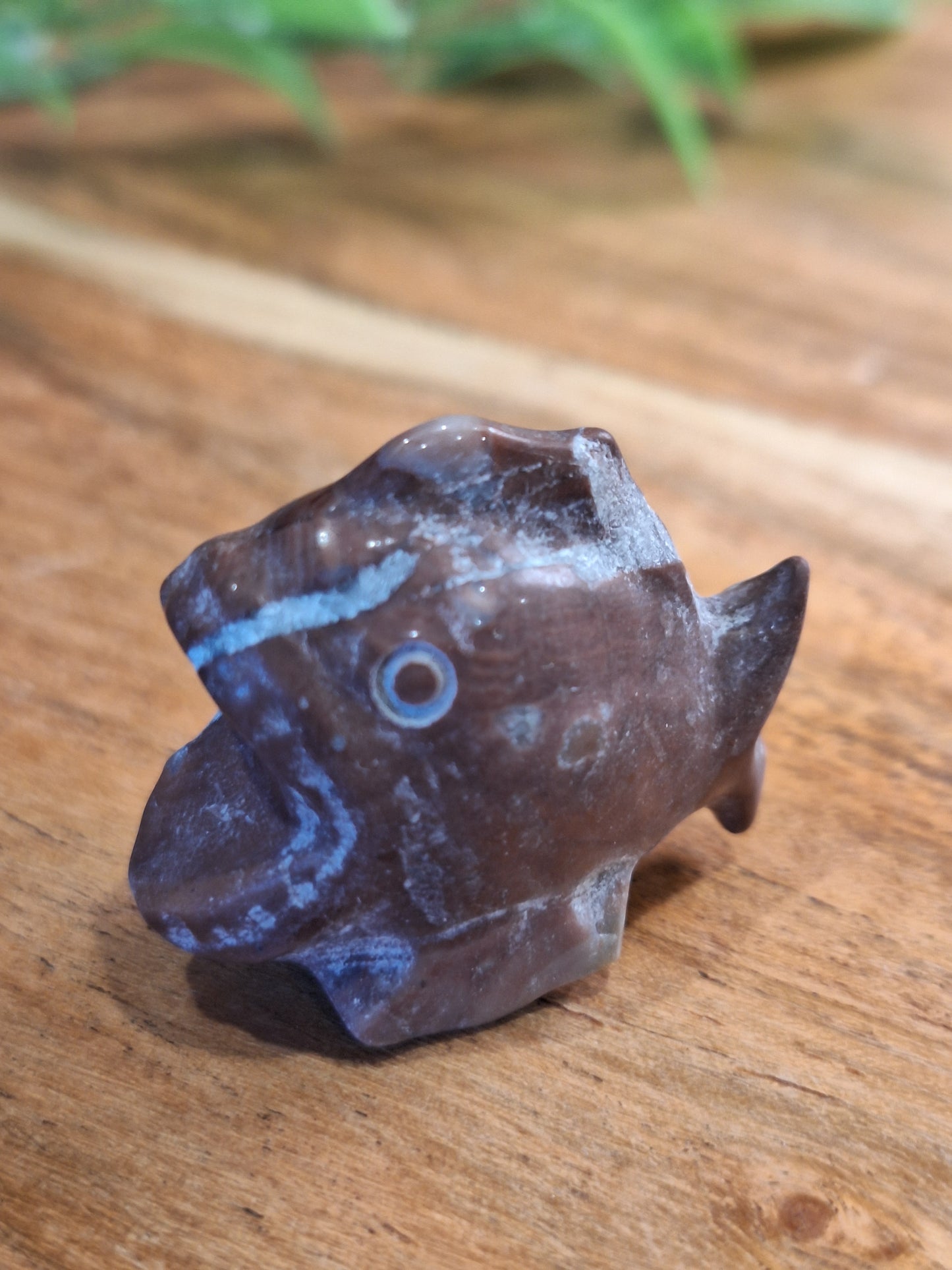 CRYSTAL PIRANHAS