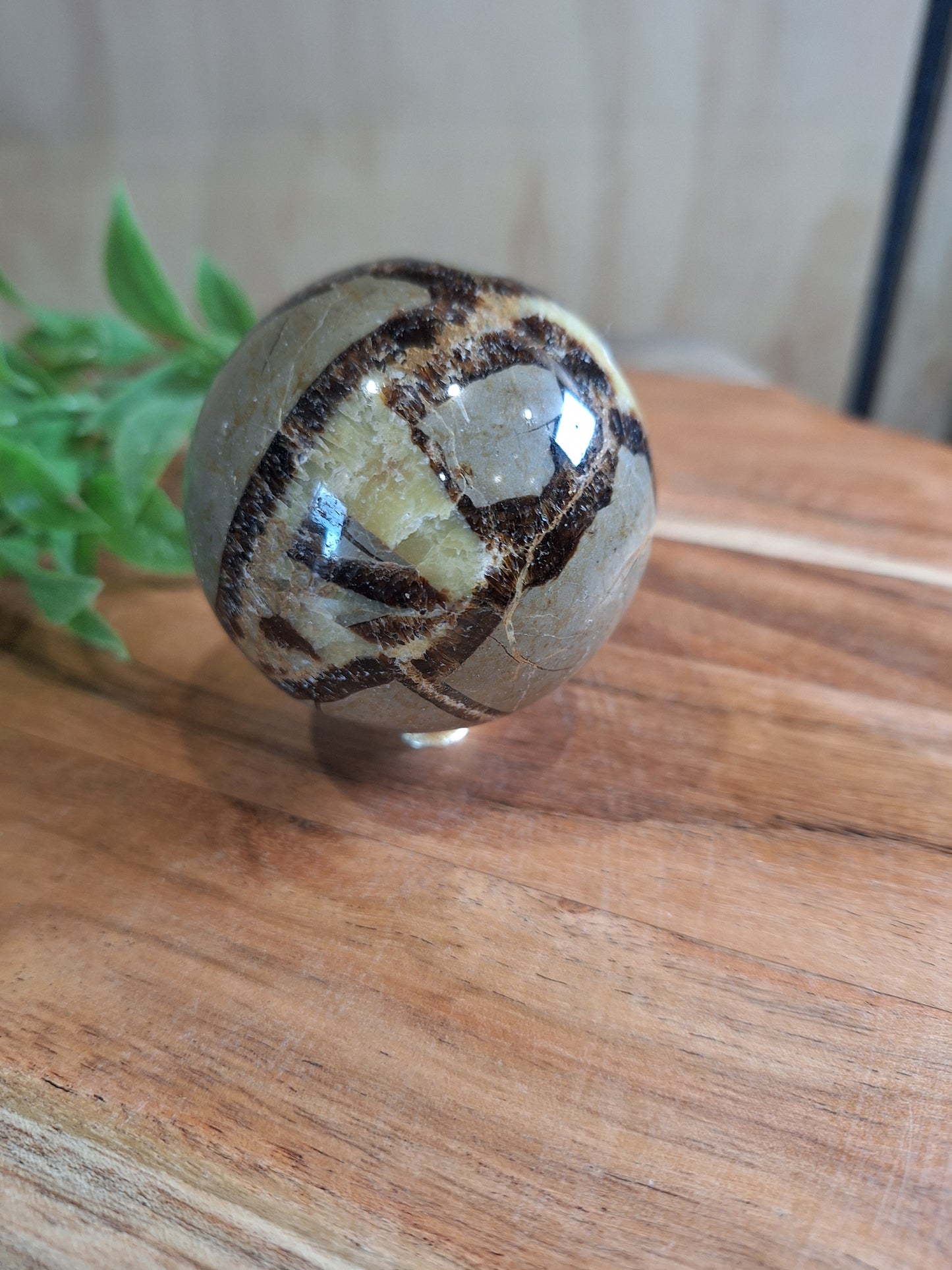 SEPTARIAN SPHERES