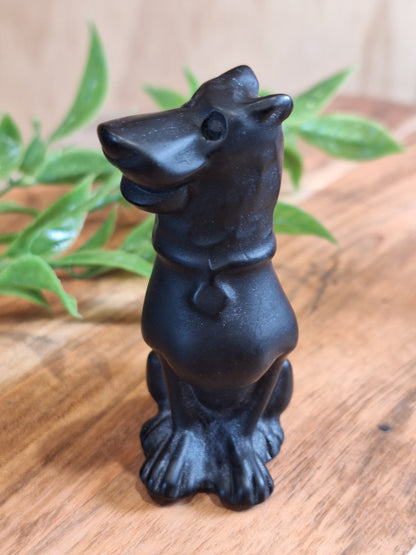 BLACK OBSIDIAN SUPER SCOOBY