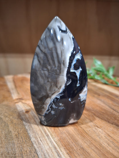 VOLCANO AGATE FREEFORMS
