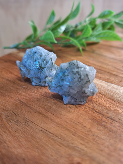 CRYSTAL PIRANHAS