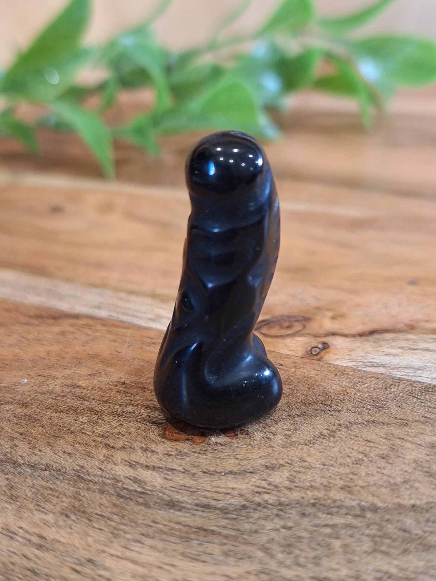 DING DINGS (ADULTS ONLY- MALE PRIVATE PARTS AHEAD)