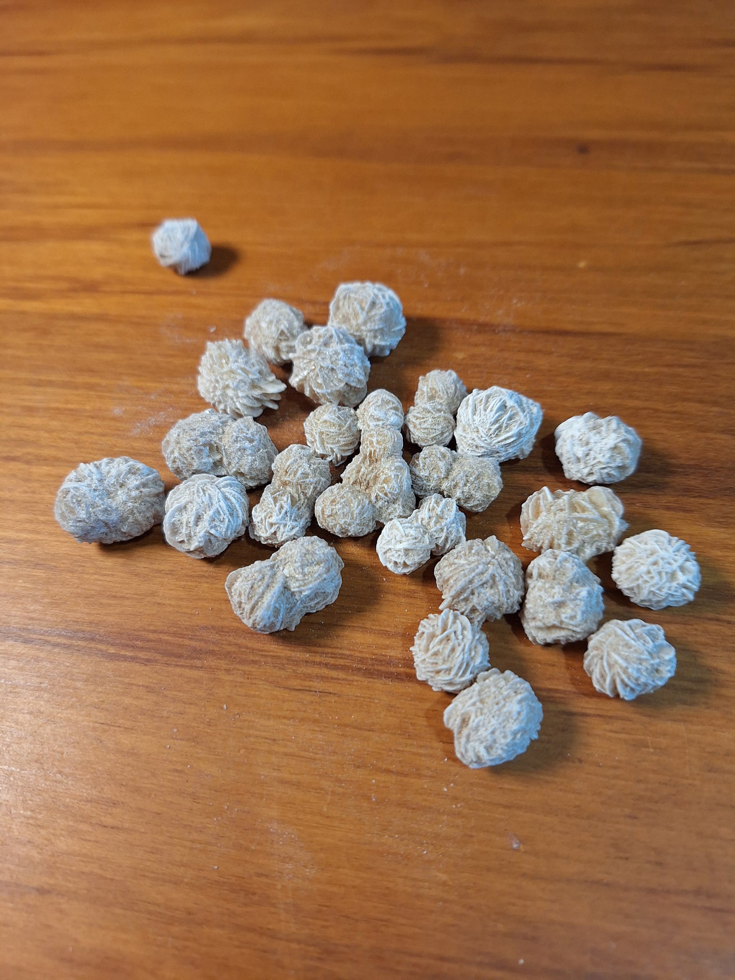 DESERT ROSE FLOWER ROUNDS