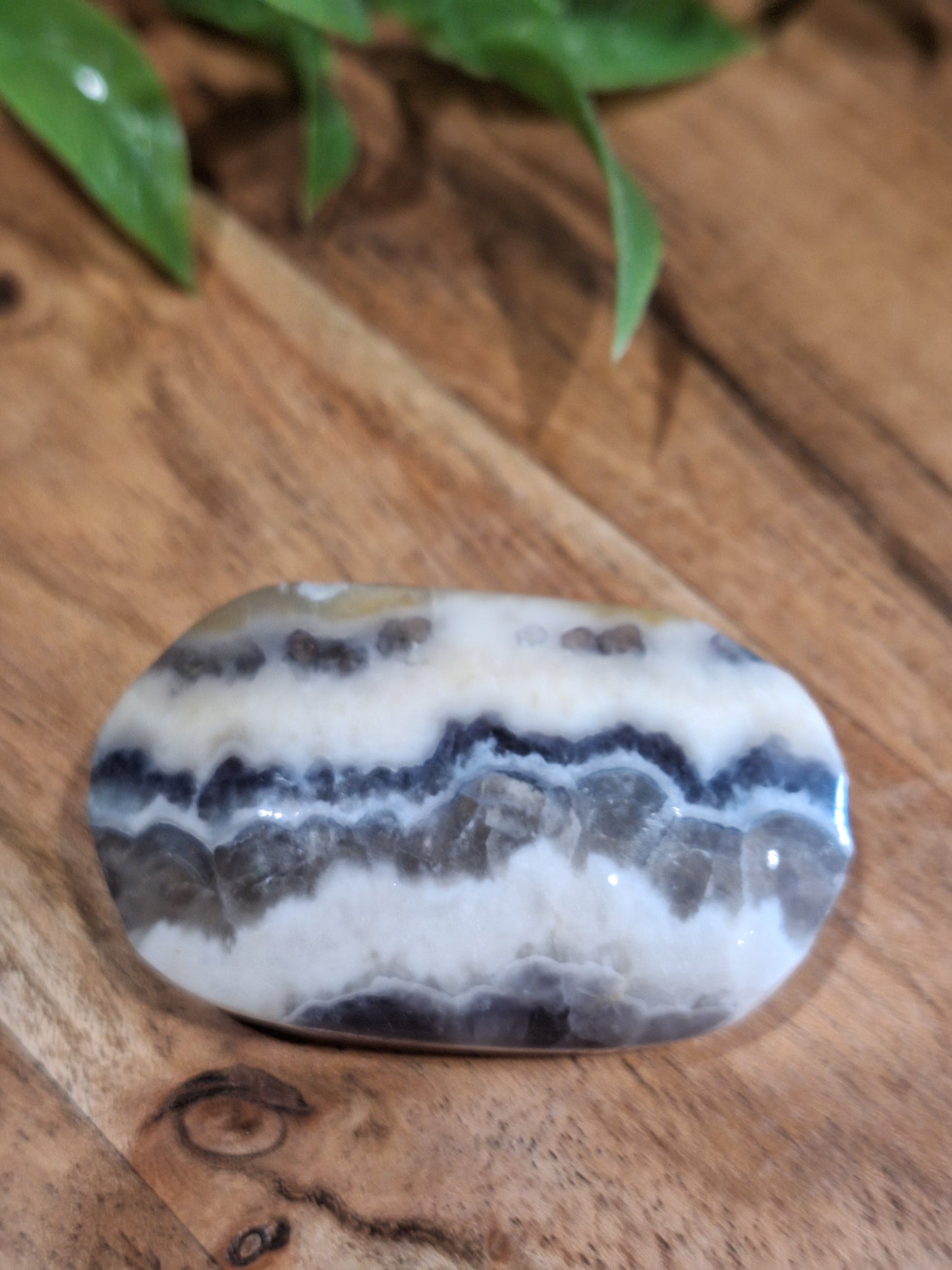 PALM STONES (SMALL)