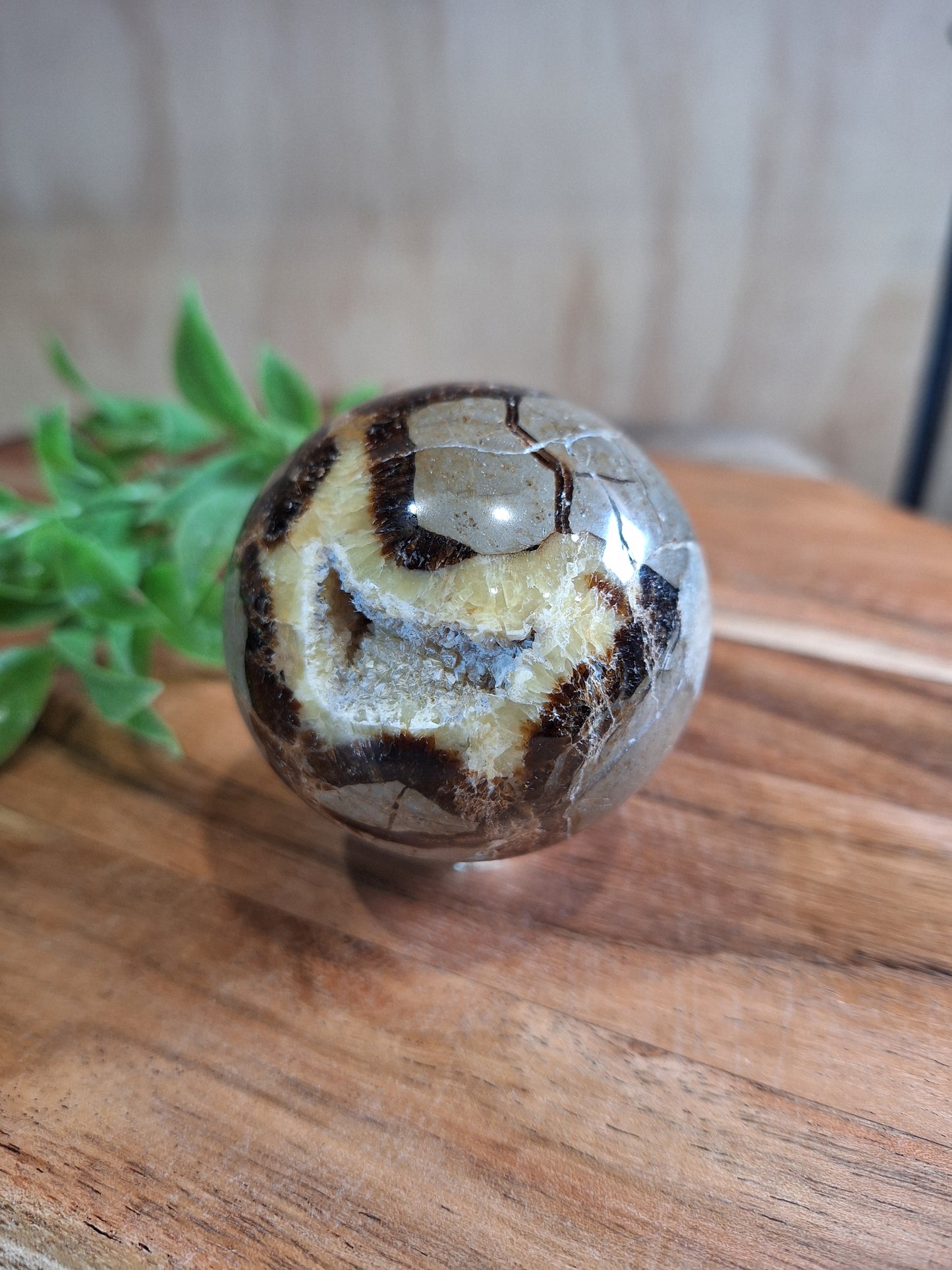 SEPTARIAN SPHERES