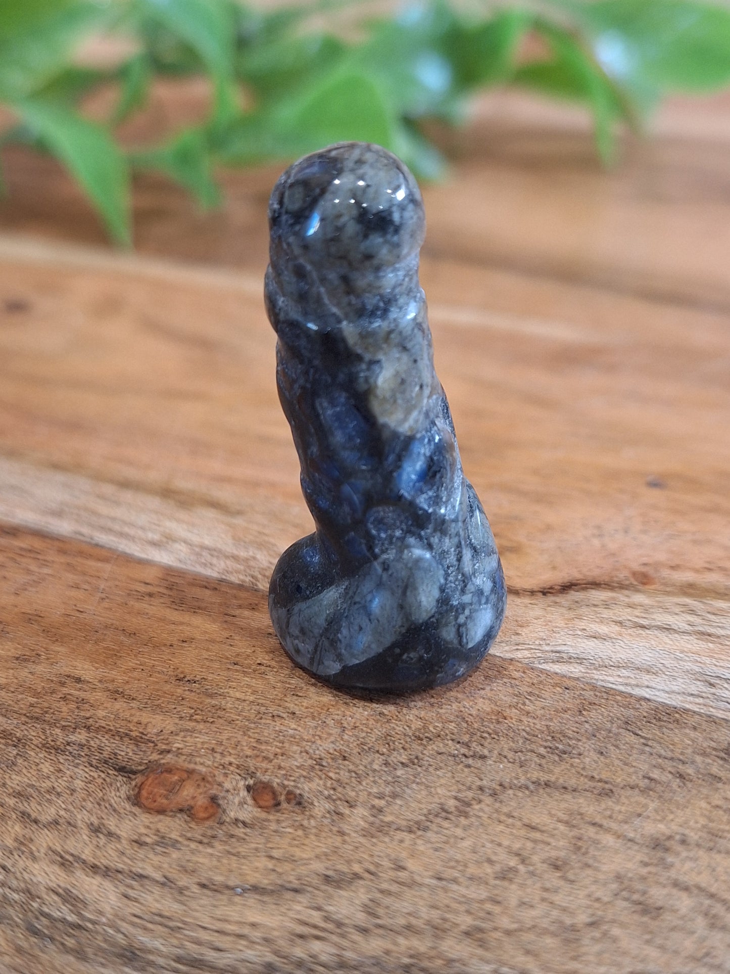 DING DINGS (ADULTS ONLY- MALE PRIVATE PARTS AHEAD)