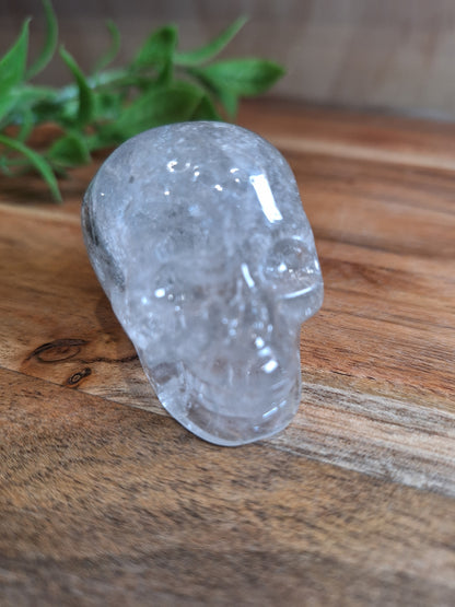 CLEAR QUARTZ SKULL WITH A SMALL GARDEN