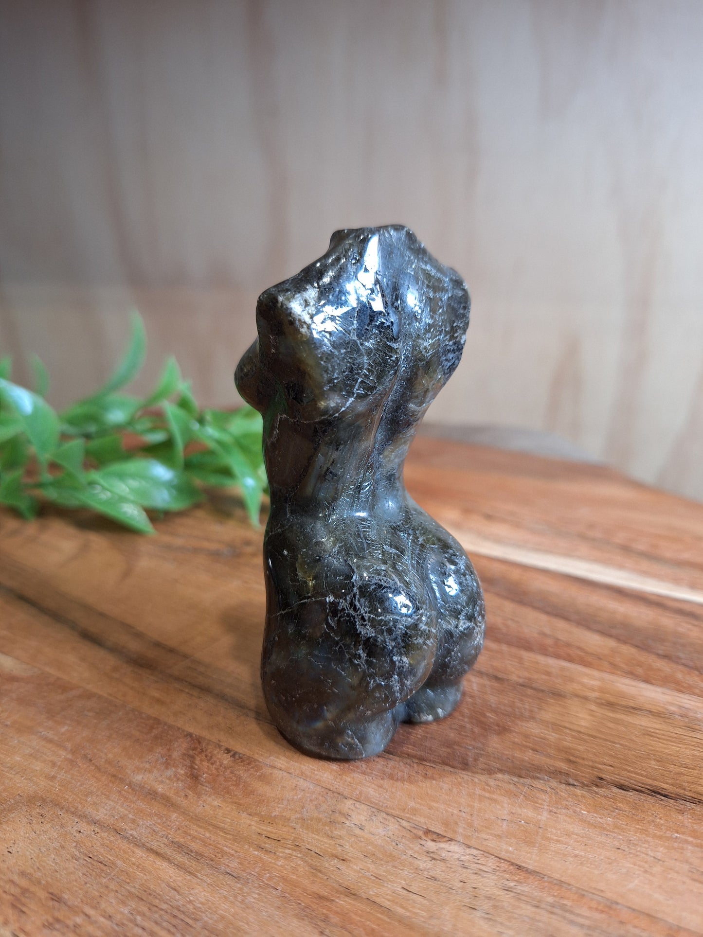 LABRADORITE LADY BODIES