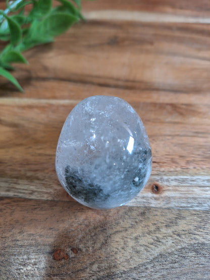 CLEAR QUARTZ SKULL WITH A SMALL GARDEN