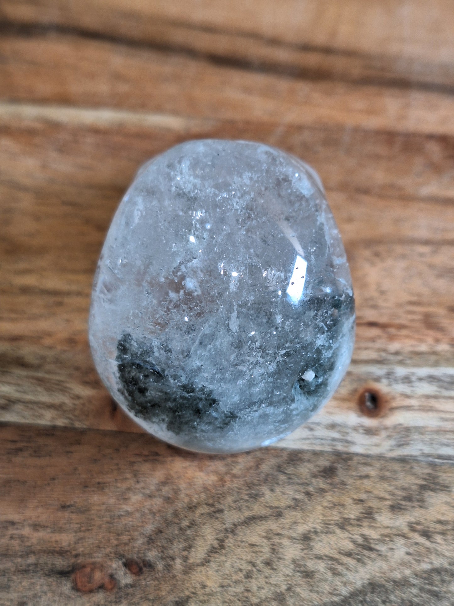 CLEAR QUARTZ SKULL WITH A SMALL GARDEN