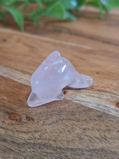 CRYSTAL DOLPHINS (MINI & SMALL)