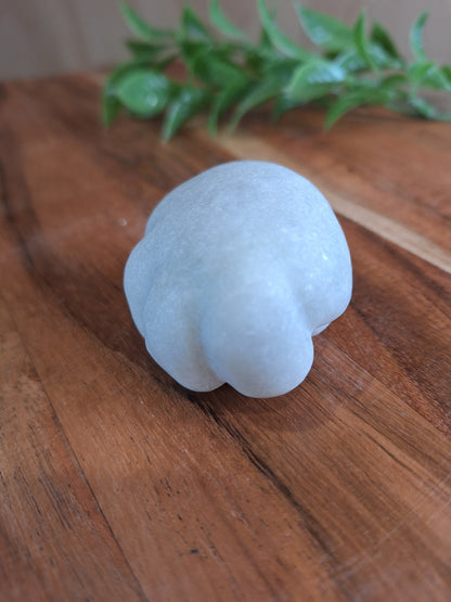 CRYSTAL DOG PAWS (SMALL-MEDIUM-LARGE)