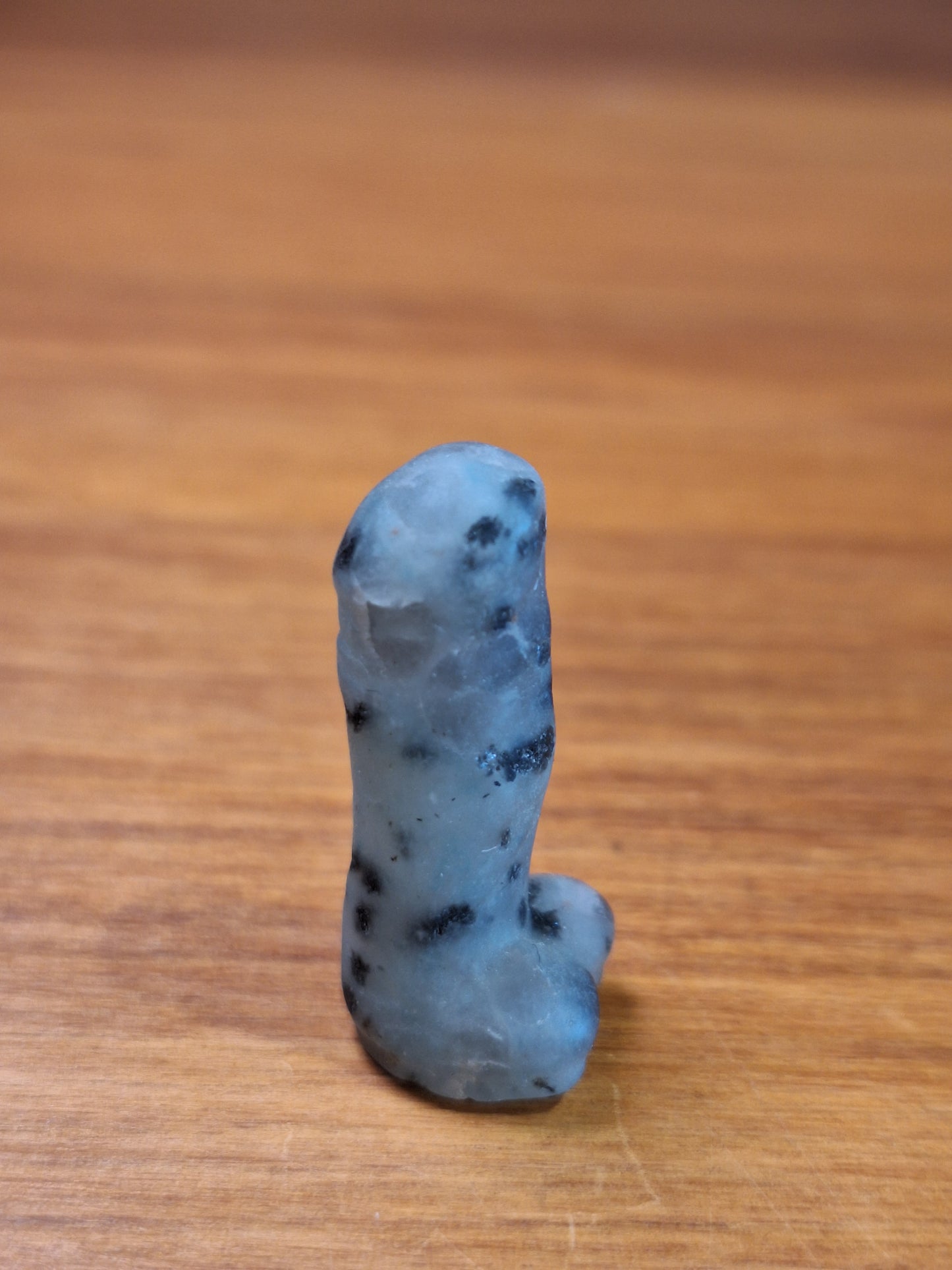 DING DINGS (ADULTS ONLY- MALE PRIVATE PARTS AHEAD)