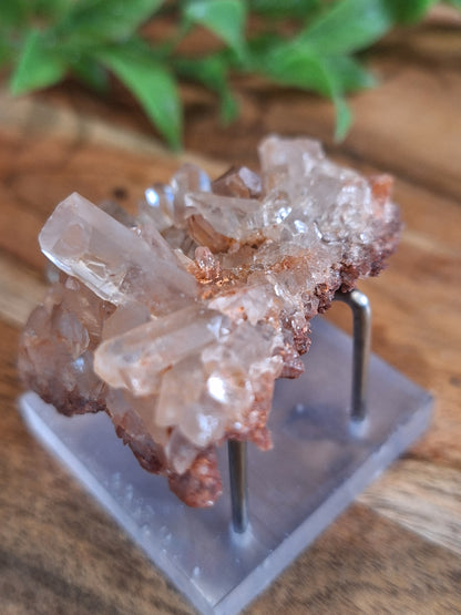 QUARTZ SPECIMENS