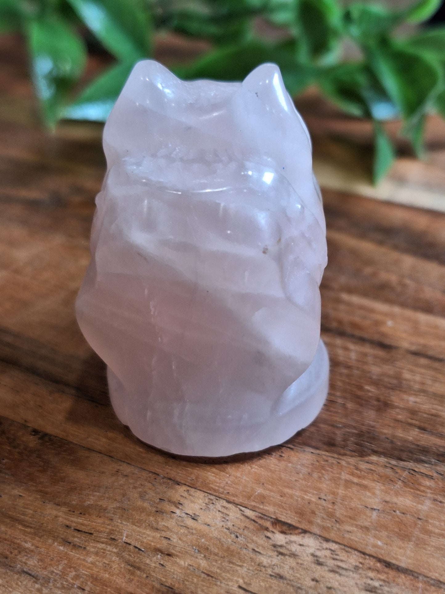 CRYSTAL DOG HEADS