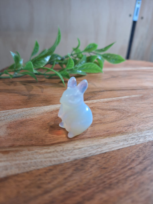 CRYSTAL RABBITS