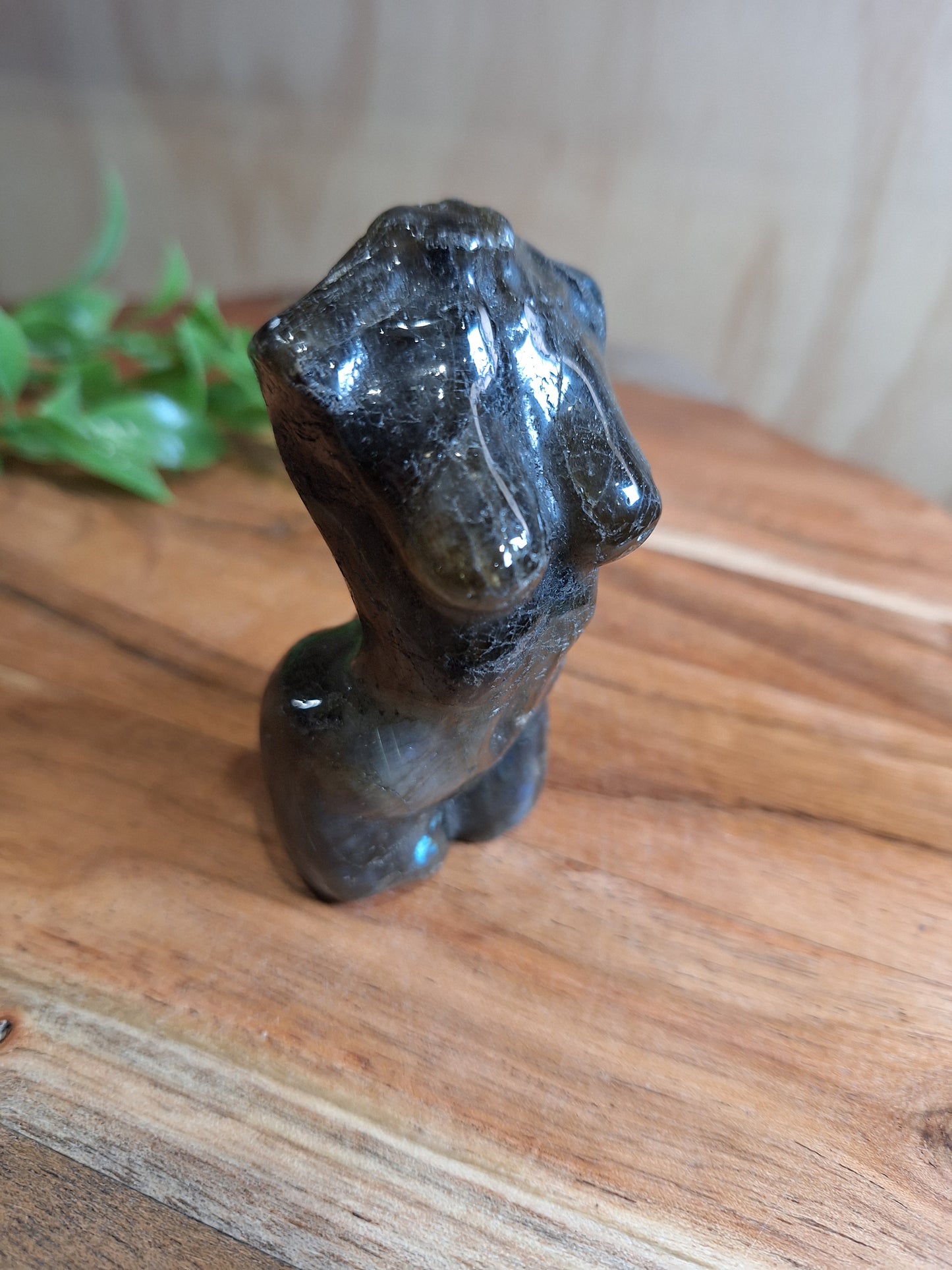 LABRADORITE LADY BODIES