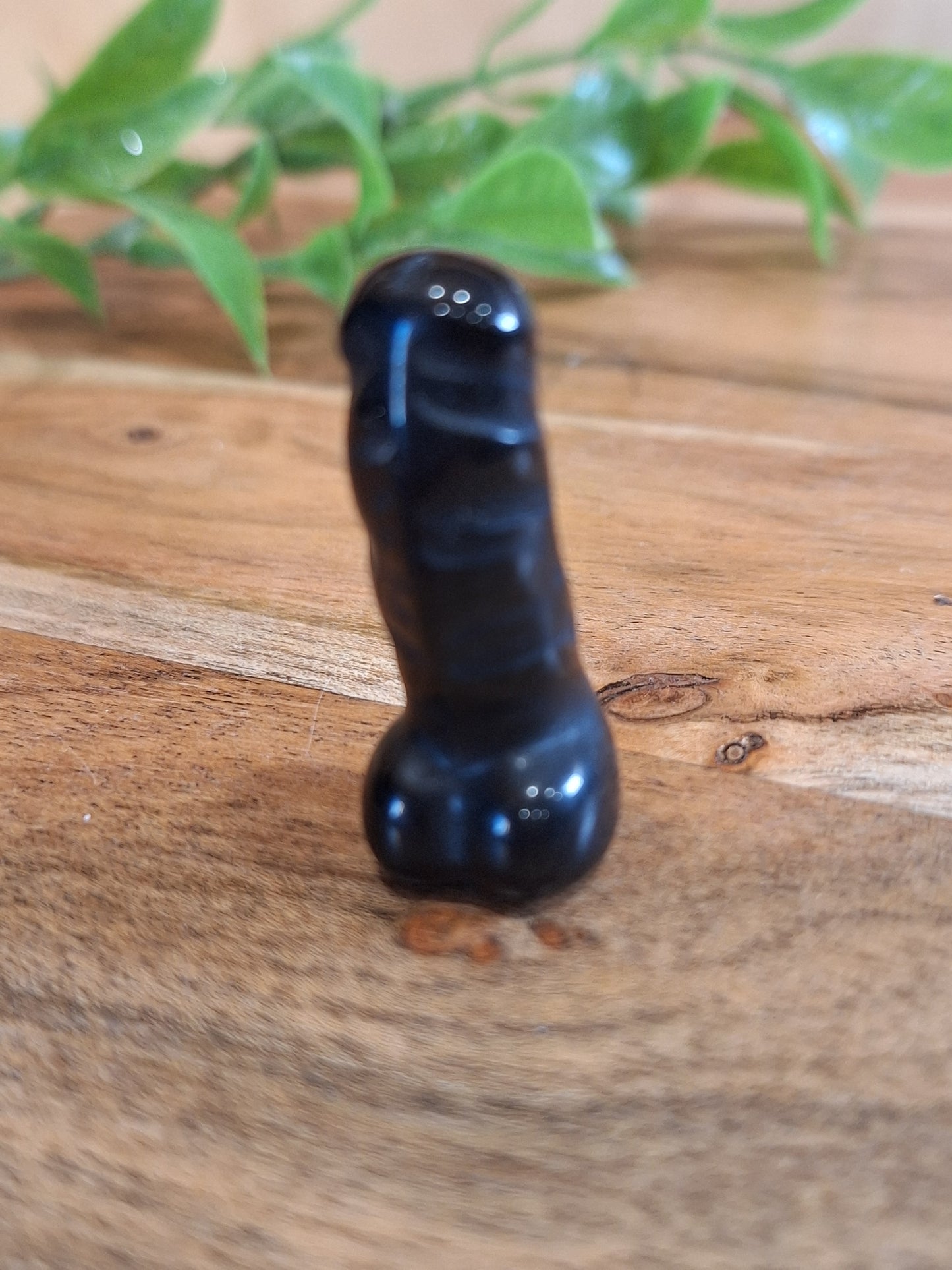 DING DINGS (ADULTS ONLY- MALE PRIVATE PARTS AHEAD)