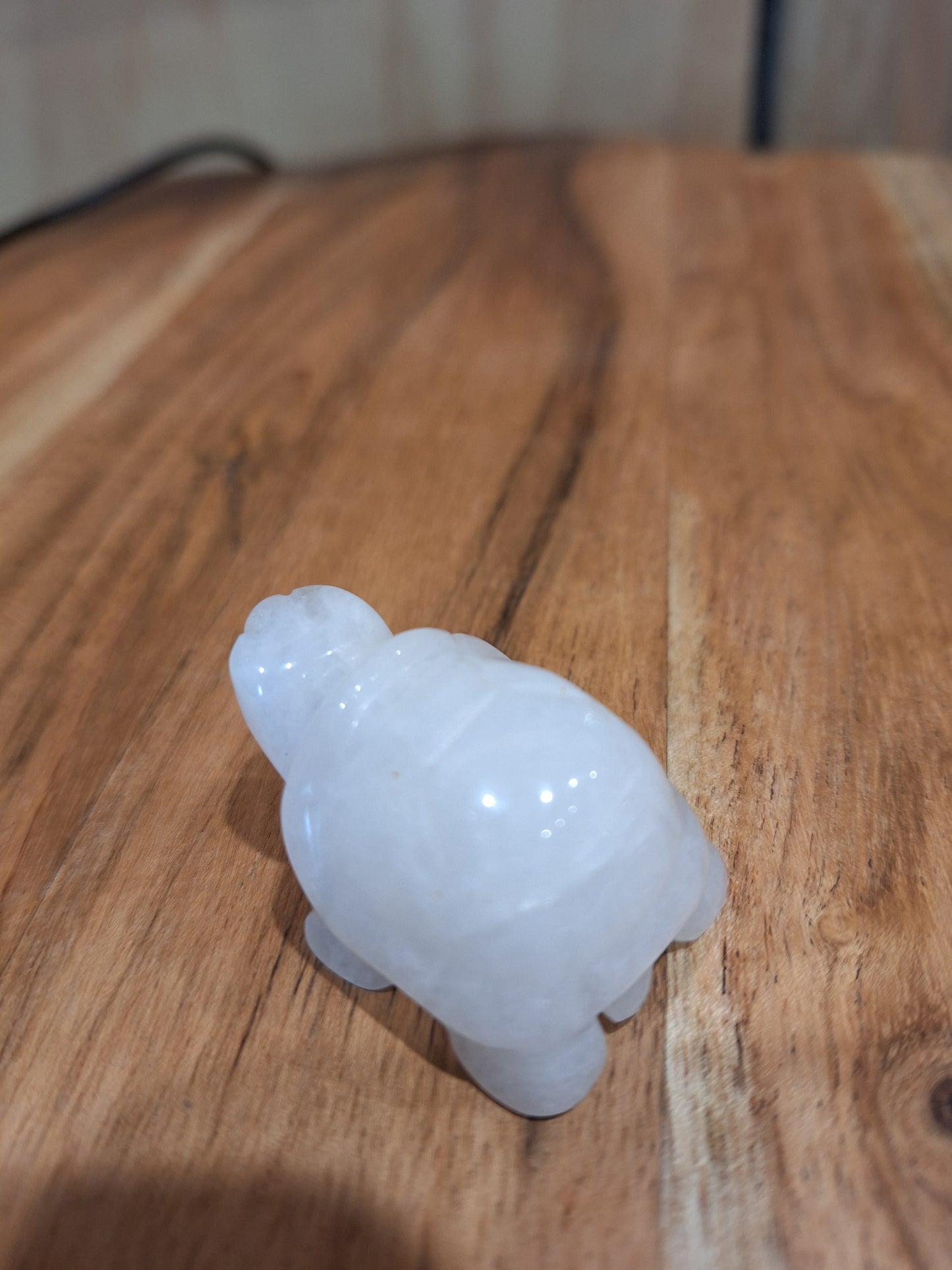 CLEAR QUARTZ TURTLE