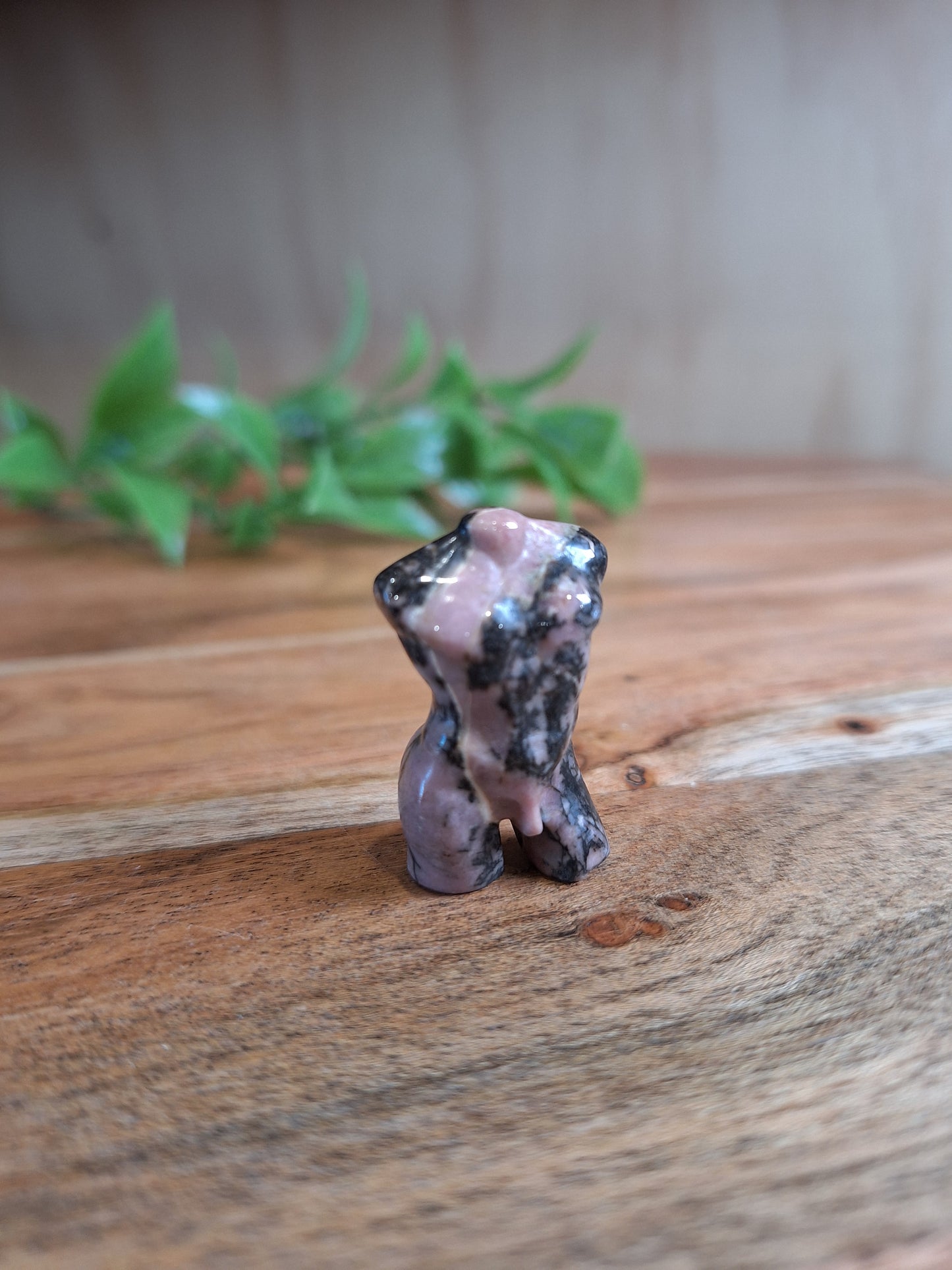 MINI MAN BODIES