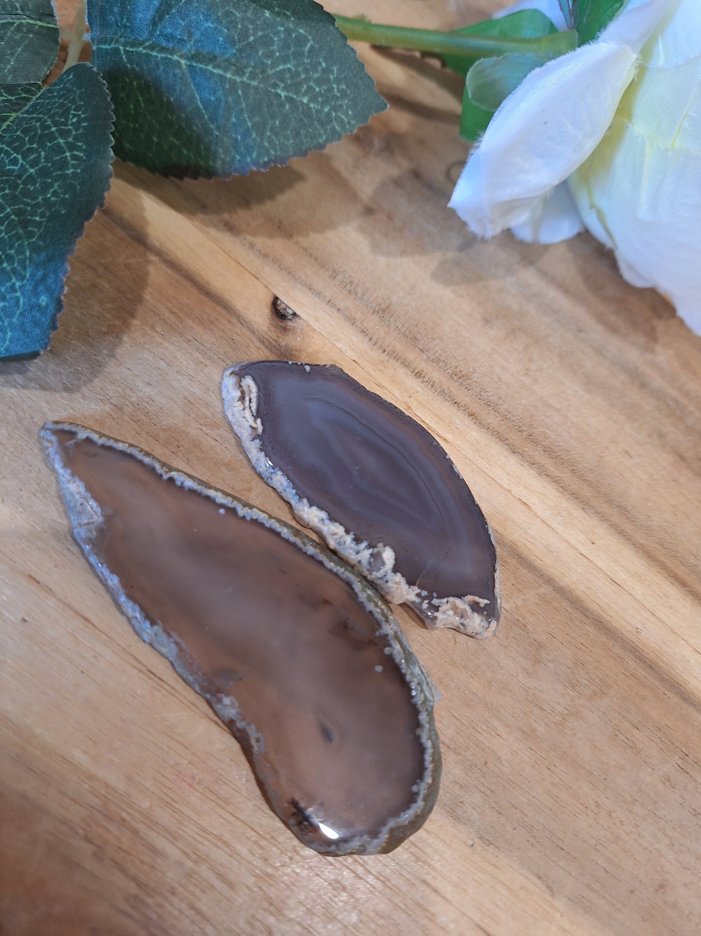 AGATE SLICES