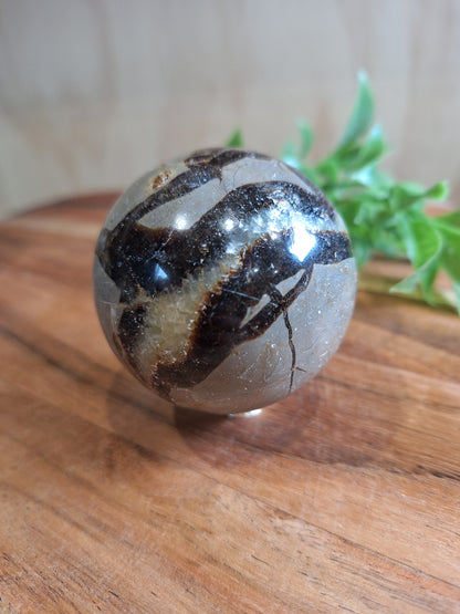 SEPTARIAN SPHERES