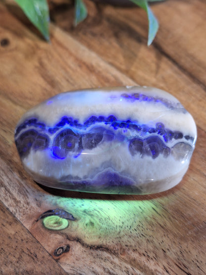 PALM STONES (SMALL)