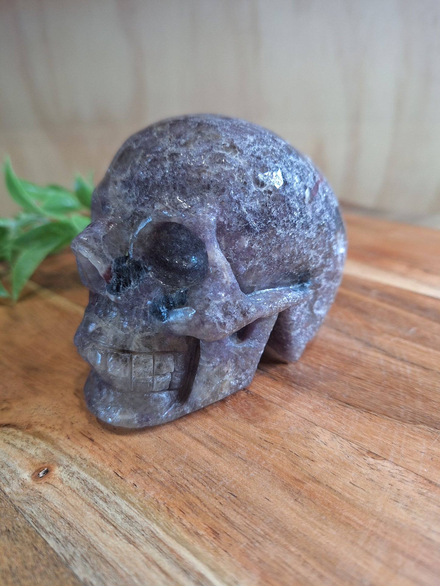 UNICORN SKULL WHOPPING 692grams (LARGE)