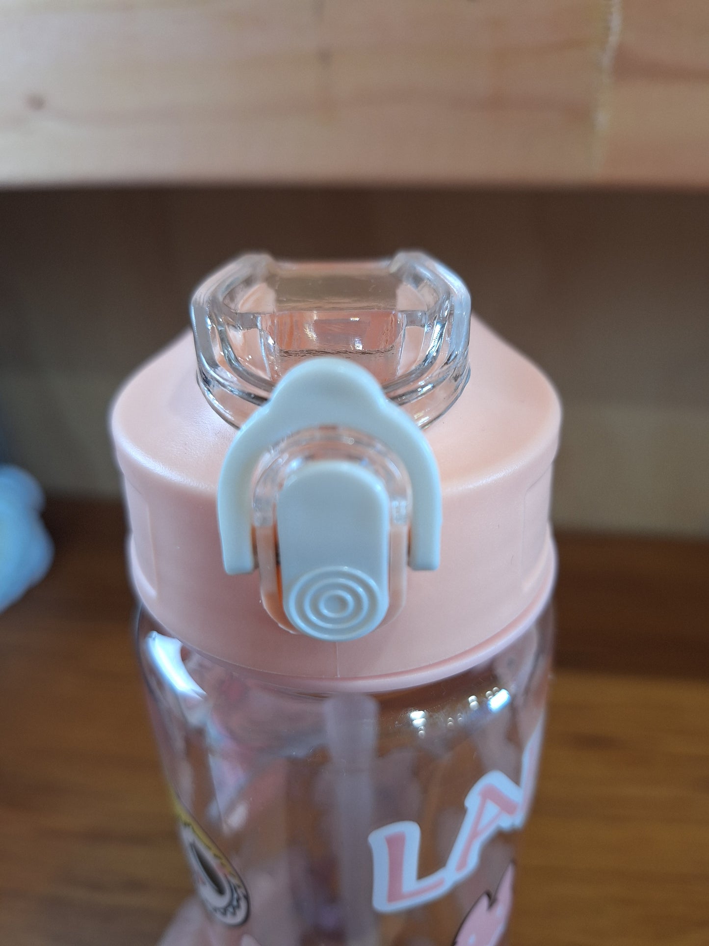 EVERYTHING LABUBU CRYSTAL & NON CRYSTAL