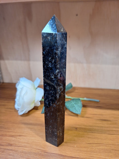 ASTROPHYLITE WITH AMBER