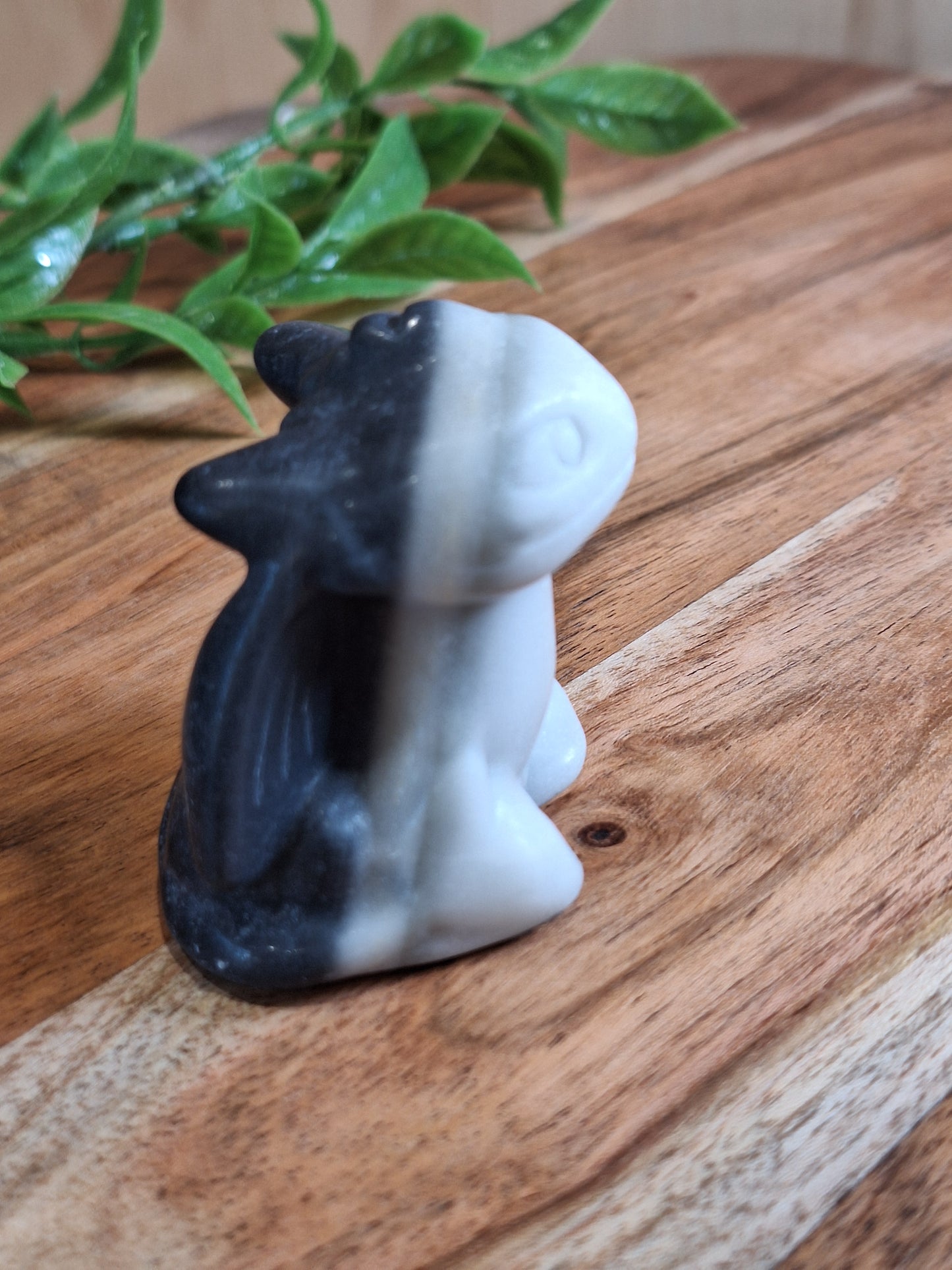 PICASSO JASPER TOOTHLESS