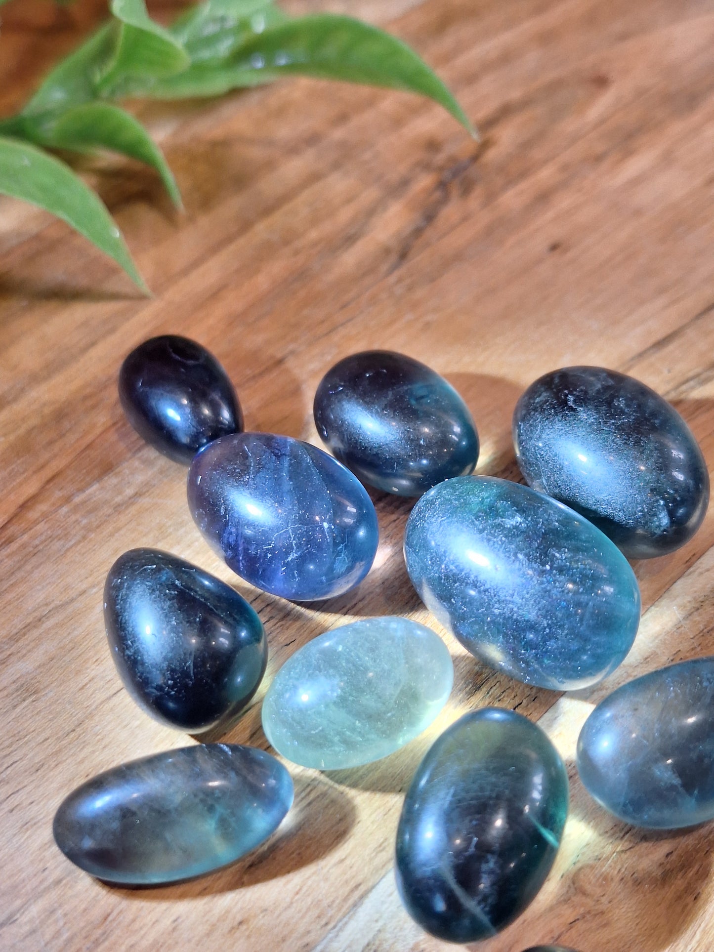 FLUORITE TUMBLES
