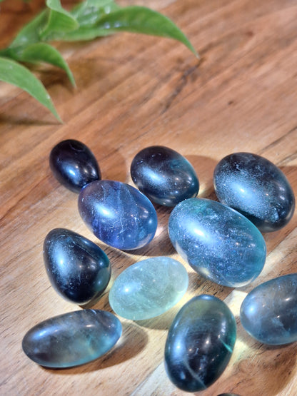 FLUORITE TUMBLES