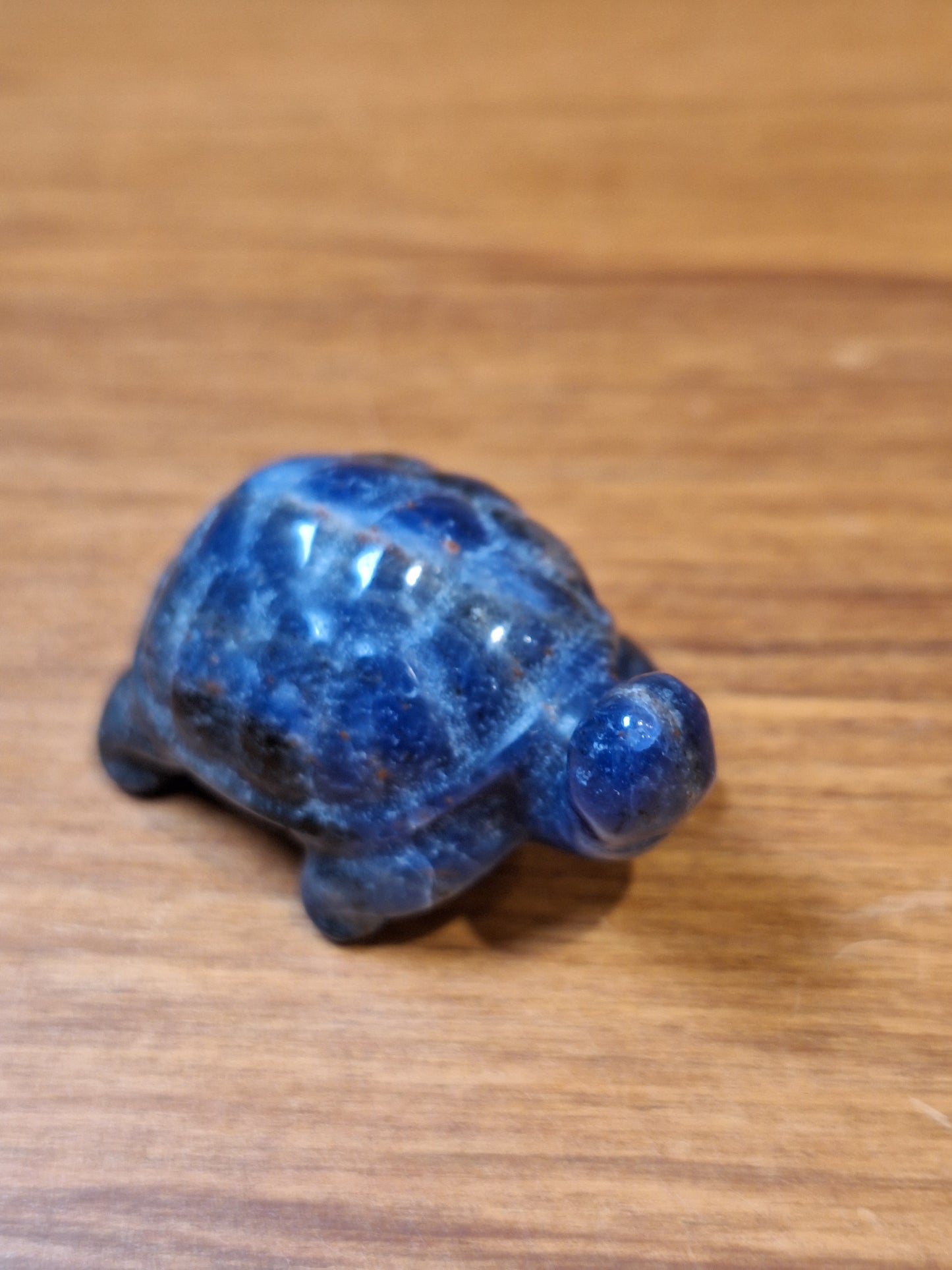SODALITE TURTLE