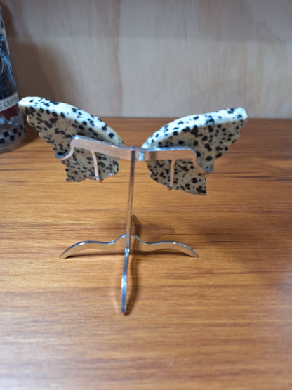 GORGEOUS BUTTERFLY WINGS ON A STAND (SMALL)