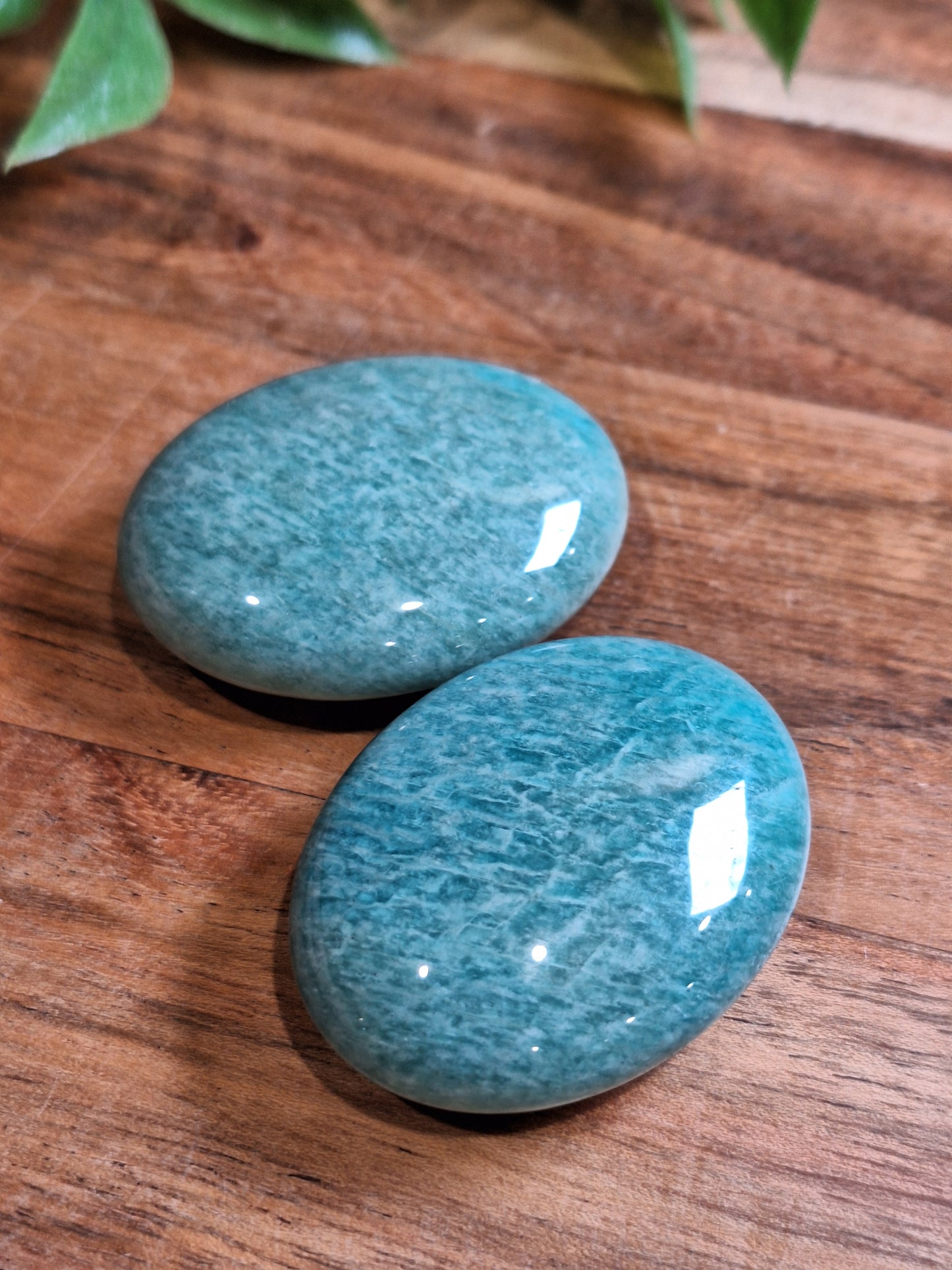 PALM STONES (SMALL)