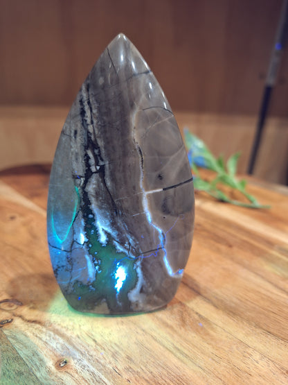 VOLCANO AGATE FREEFORMS