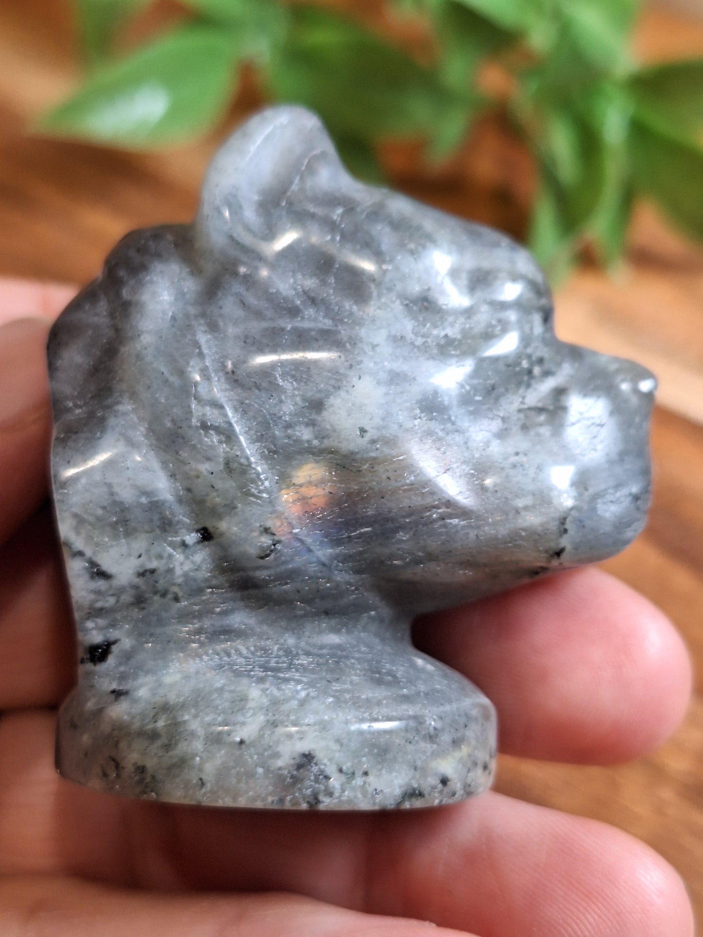 CRYSTAL DOG HEADS