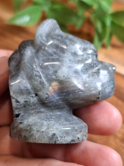 CRYSTAL DOG HEADS