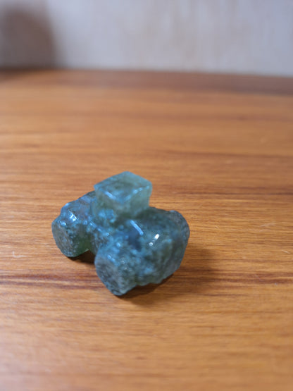 AGATE MOSS MONSTER TRUCK