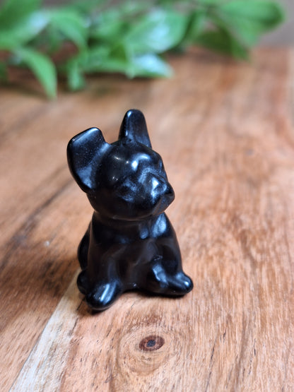 BLACK OBSIDIAN FRENCH DOG
